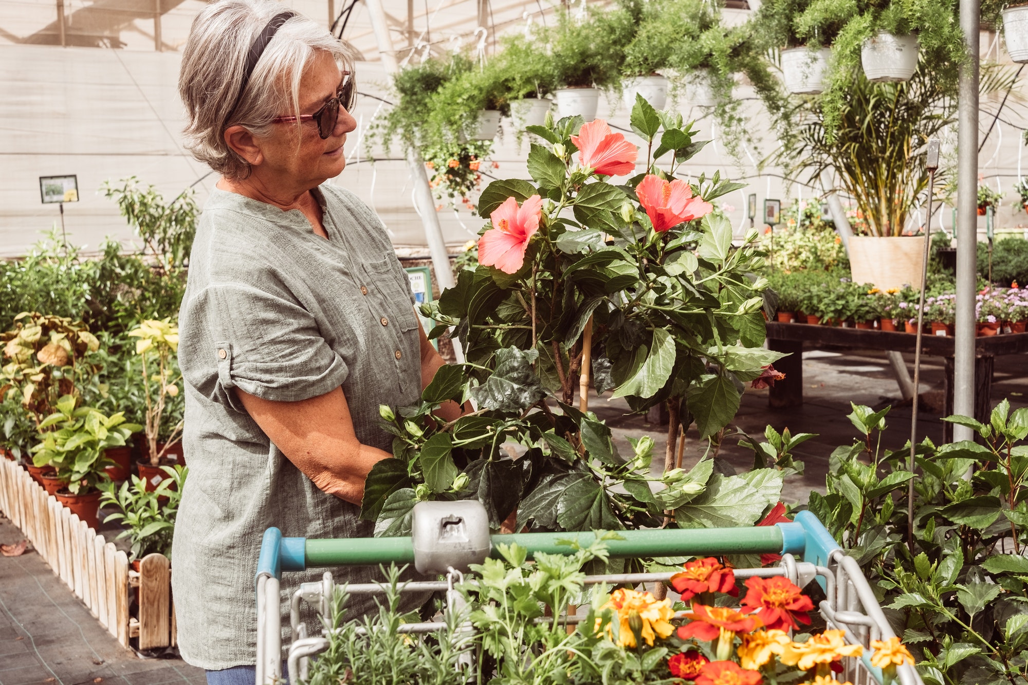 Adult senior woman, lover of flowers, enjoying purchases in the plant nursery pushing a cart