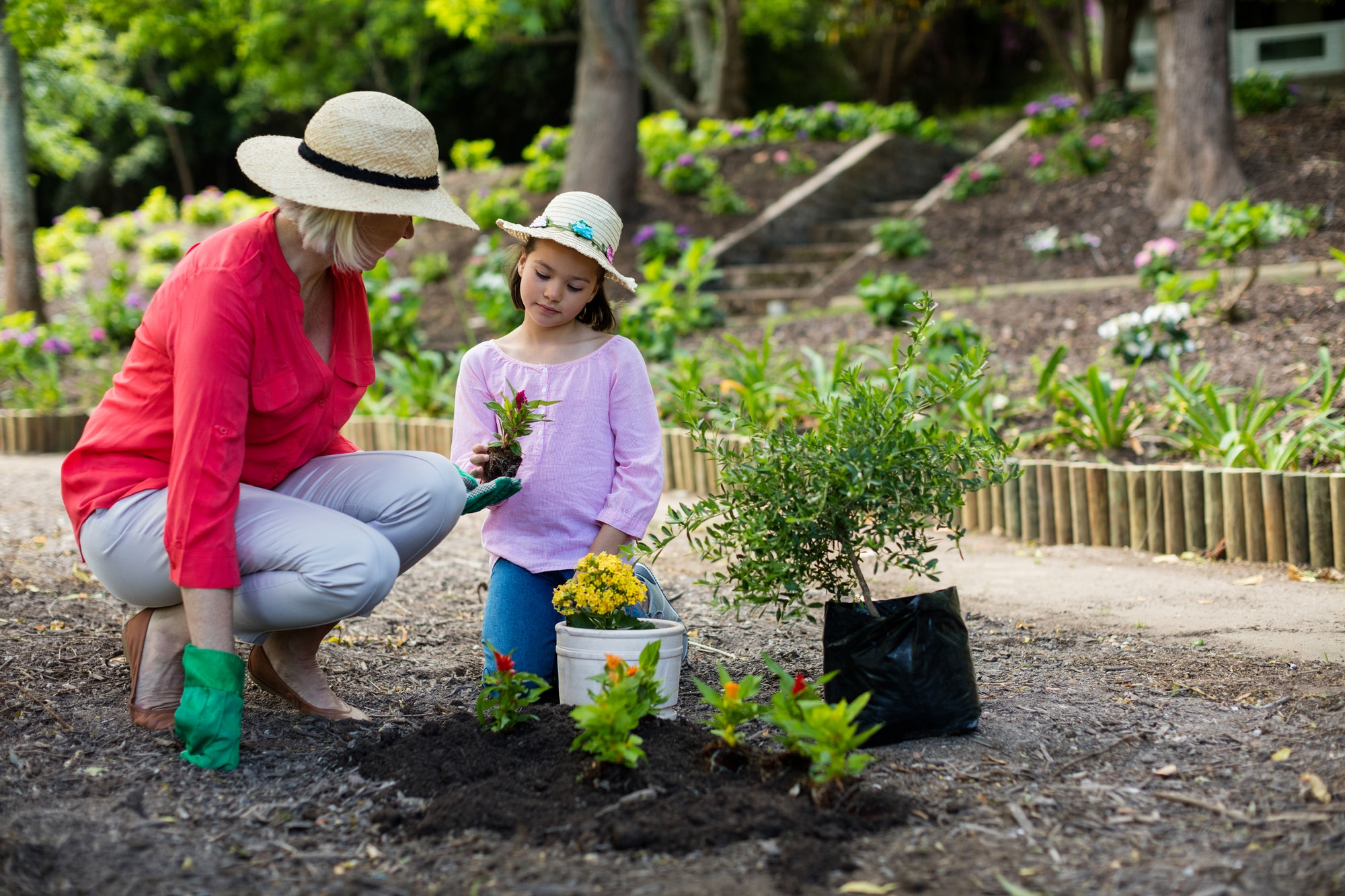 Grandmother and granddaughter gardening