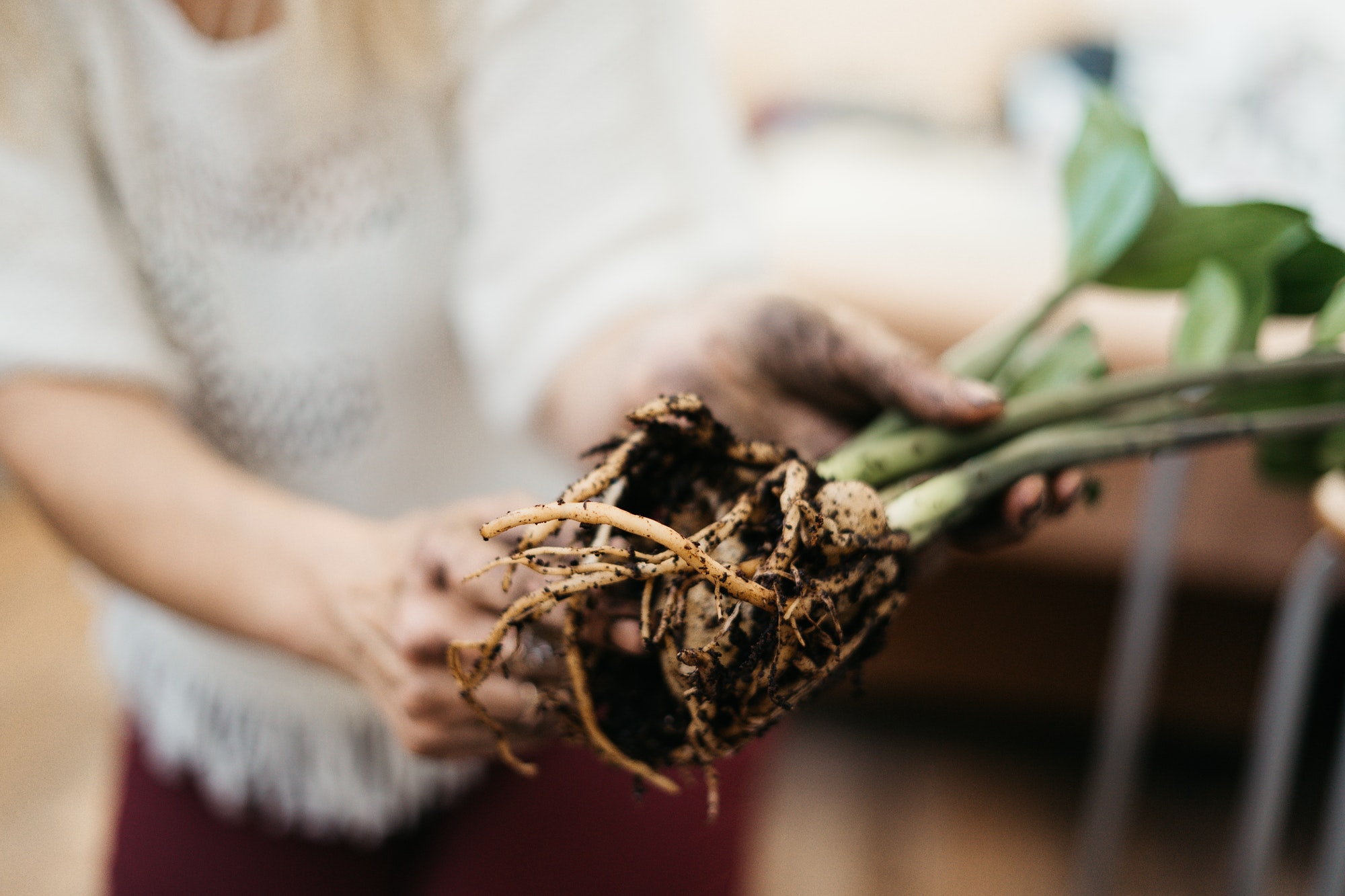 gardening / plant lover