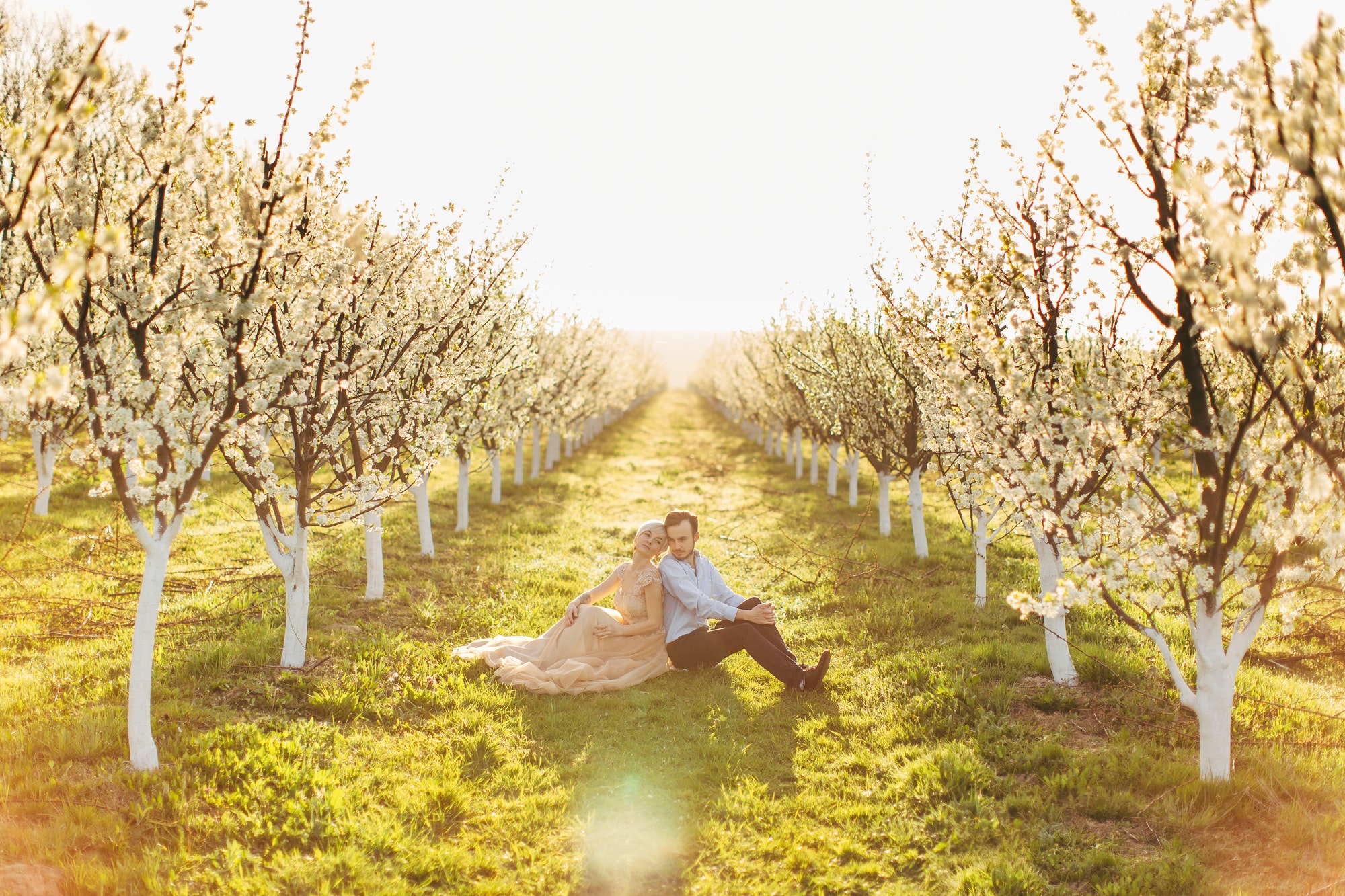 Two lovers sitting on the grass, leaning each other in the sunny morning